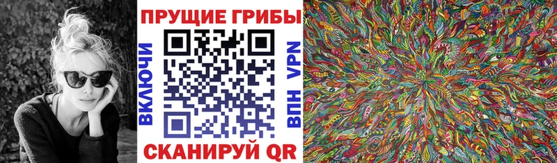 Купить  Мариинский Посад  Псилоцибиновые грибы мухоморы 